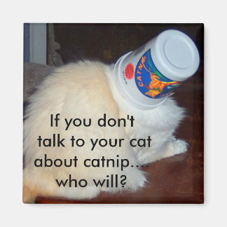 Imã Se você não falar com seu gato sobre catnip...quem
