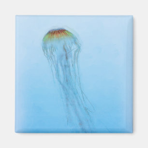 Imã Sea Nettle