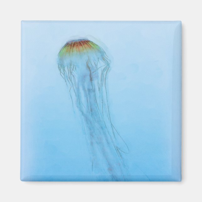 Imã Sea Nettle (Frente)