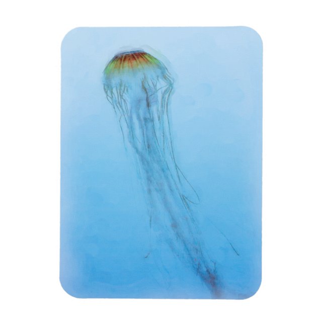 Ímã Sea Nettle (Vertical)