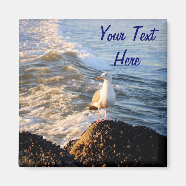 Imã Seagull (Frente)