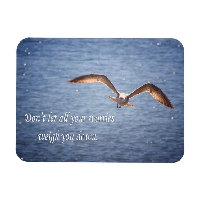 Ímã Seagull and Inspirational Words Magnet (Horizontal)