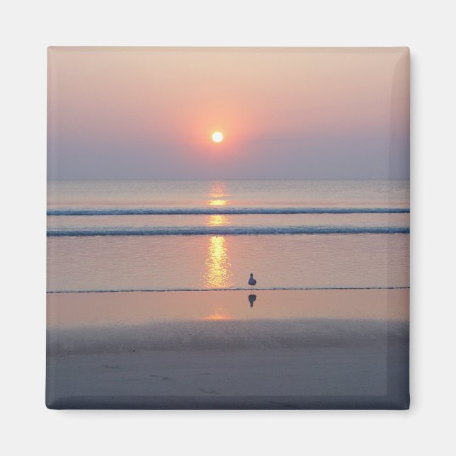 Imã Seagull Daytona Praia FL Ocean Sunrise Magnet (Frente)