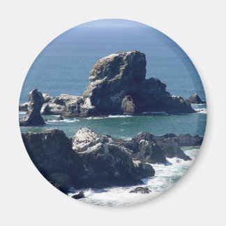Imã Seal Rock Ecola State Park Oregon Coast Magnet