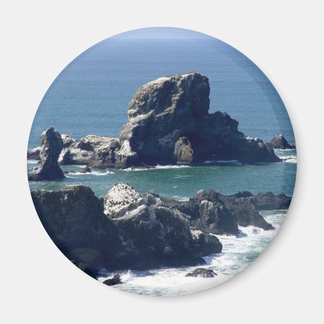 Imã Seal Rock Ecola State Park Oregon Coast Magnet (Frente)