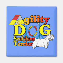 Imã Sealyham_Terrier_Agilidade