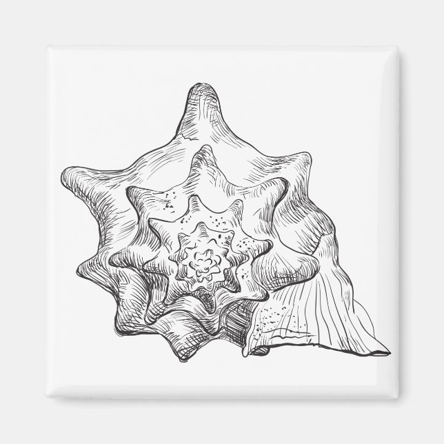 Imã Seashell (Frente)