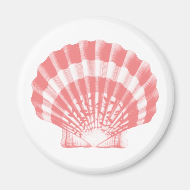 Imã Seashell - coral rosa e branco (Frente)