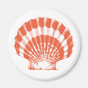 Imã Seashell - laranja e branco de coral