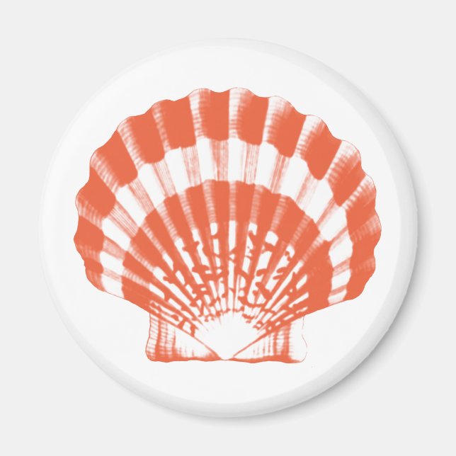 Imã Seashell - laranja e branco de coral (Frente)