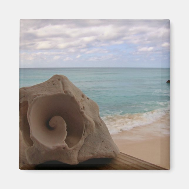 Imã Seashell na Foto de Praia (Frente)