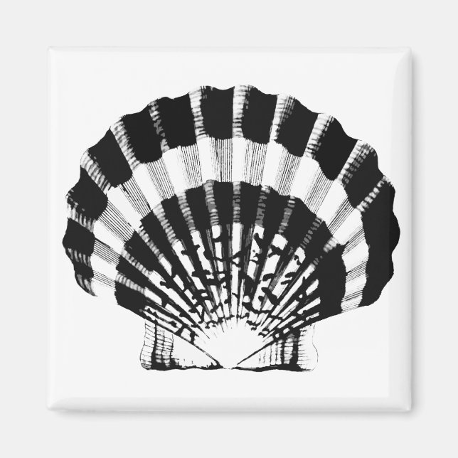 Imã Seashell - preto e branco (Frente)