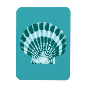 Ímã Seashell - Sombras de azul lacrimogêneo