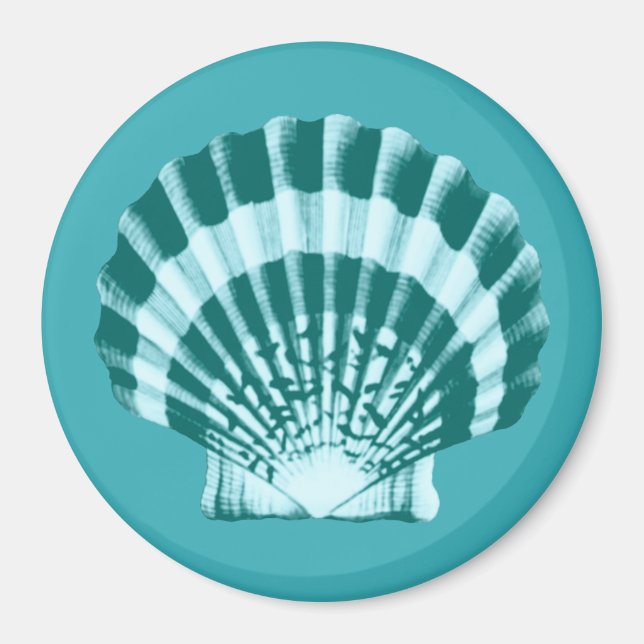 Imã Seashell - Sombras de azul lacrimogêneo (Frente)