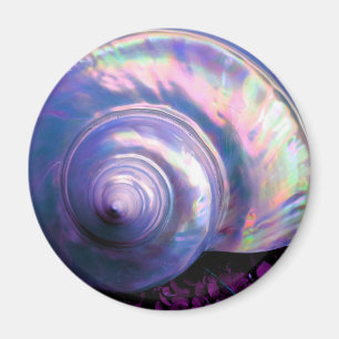 Imã Seashell tropical opal mãe de pérola parece roxa