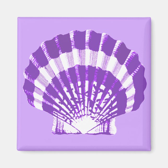 Imã Seashell - violeta e branco (Frente)