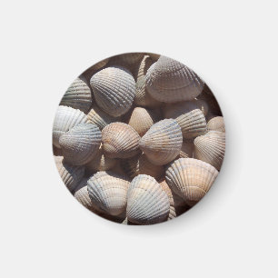 Imã Seashells Beach, Verão Holiday Magnet