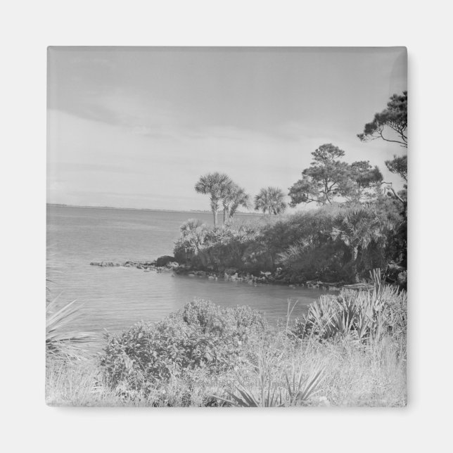 Imã Seashore (Frente)