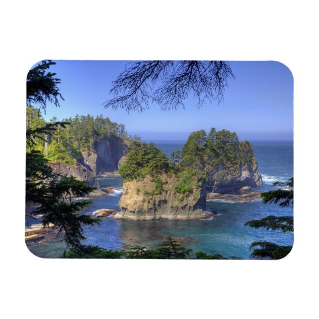 Ímã Seastacks, Terras Tribais Makah Nation, Cabo (Horizontal)