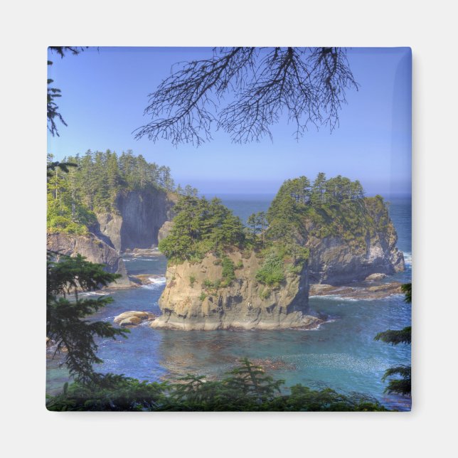 Imã Seastacks, Terras Tribais Makah Nation, Cabo (Frente)