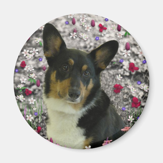 Imã Sebastian the Welsh Corgi in Flowers (Frente)