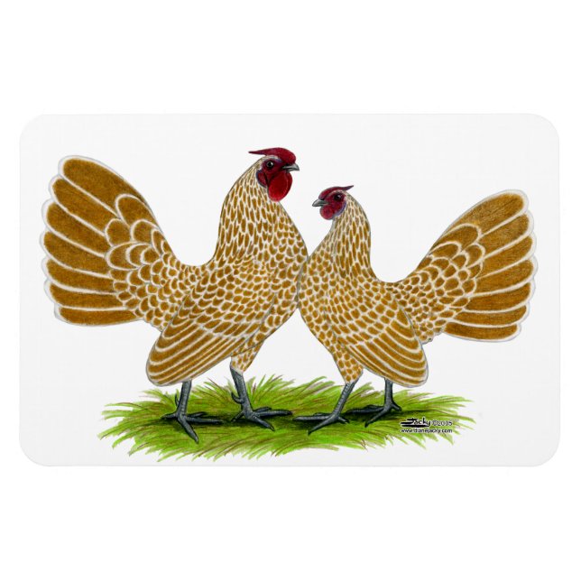 Ímã Sebrights Buff Lacrado (Horizontal)