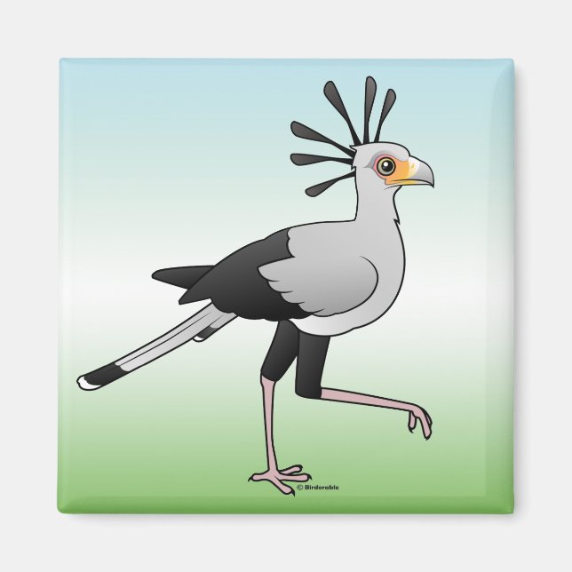 Imã Secretário Bird (Frente)