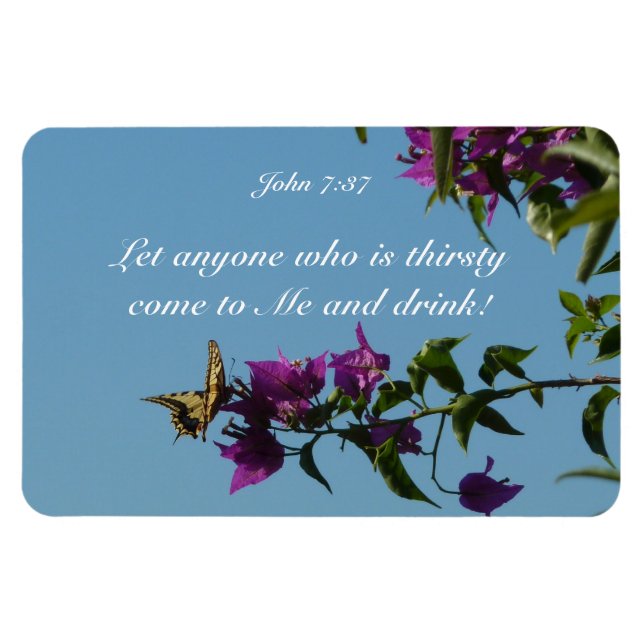 Ímã Sede Swallowtail (Horizontal)