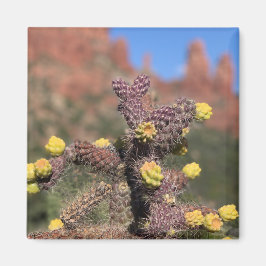 Imã Sedona Cactus Desert Magnet