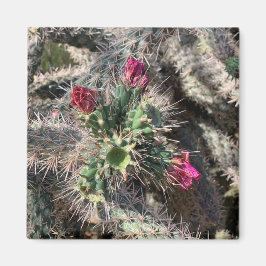Imã Sedona Pink Cactus Bloert Magnet