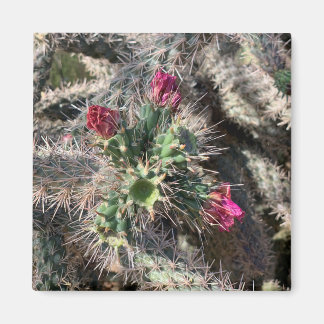 Imã Sedona Pink Cactus Bloert Magnet