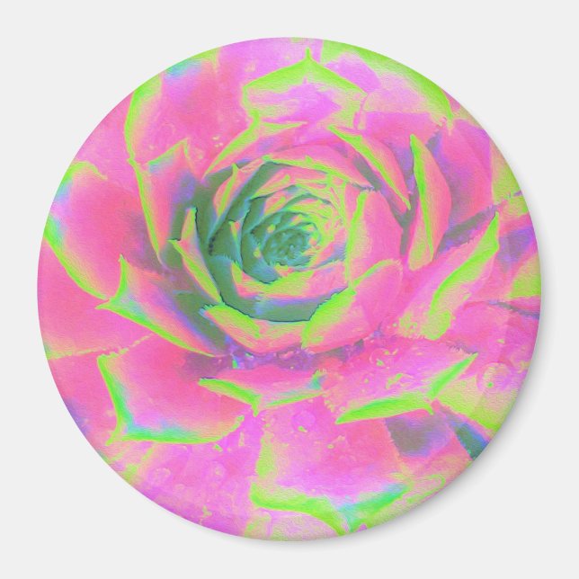 Imã Sedum Rosette verde limão e Suculente Rosa (Frente)