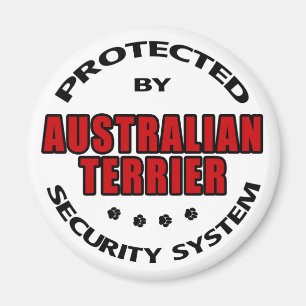 Imã Segurança Terrier australiana