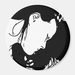 Imã Segure o cabelo