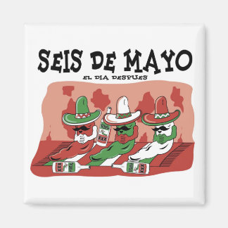 Imã Seis de Mayo