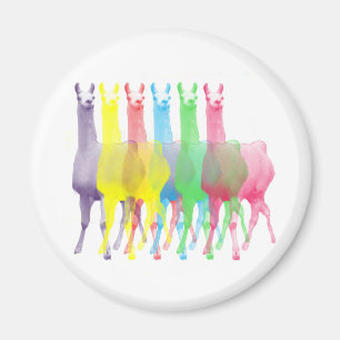 Imã seis Lamas em seis cores do lama