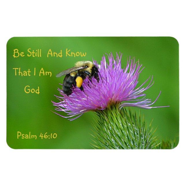 Ímã Seja Bumblebee (Horizontal)