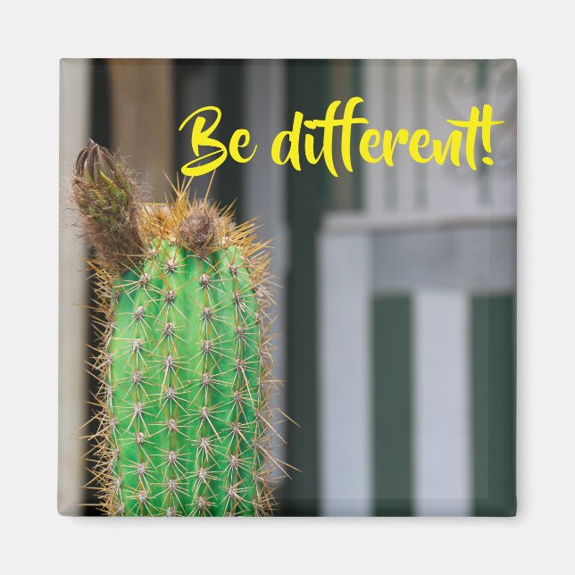 Imã Seja diferente do ímã Inspiração Cactus (Frente)