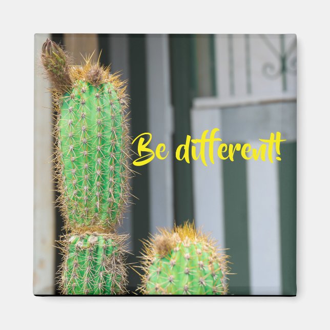 Imã Seja diferente do ímã Inspiração Cactus (Frente)