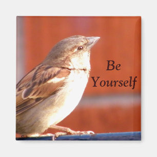 Imã Seja ímã de Yourself_
