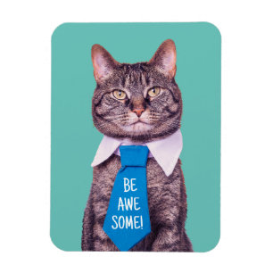 Ímã "SEJA INCRÍVEL!" Gato com Gravata Azul, Turquesa,