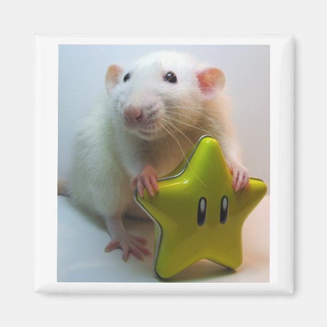 Imã Seja Sua Própria Estrela (Frente)