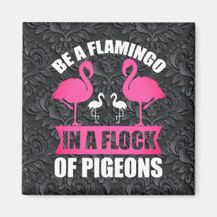 Imã Seja um Flamingo em um Bando de Pombos