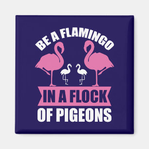 Imã Seja Um Flamingo Em Um Bando De Pombos-18716