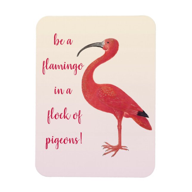 Ímã Seja um Flamingo - Uma citação divertida e Inspira (Vertical)