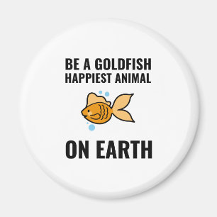 Imã Seja um goldfish inspirador positivo