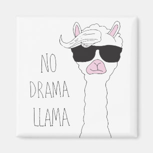Imã Seja um Sem Drama Llama