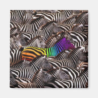 Imã seja você mesmo