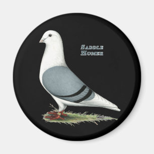 Imã Sela azul do local