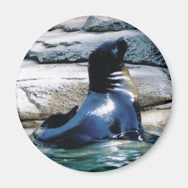 Imã selar Magnet (Frente)